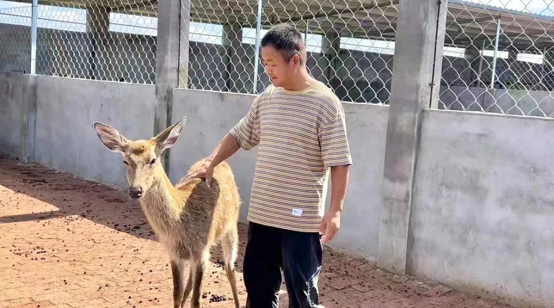 搜狗浏览器